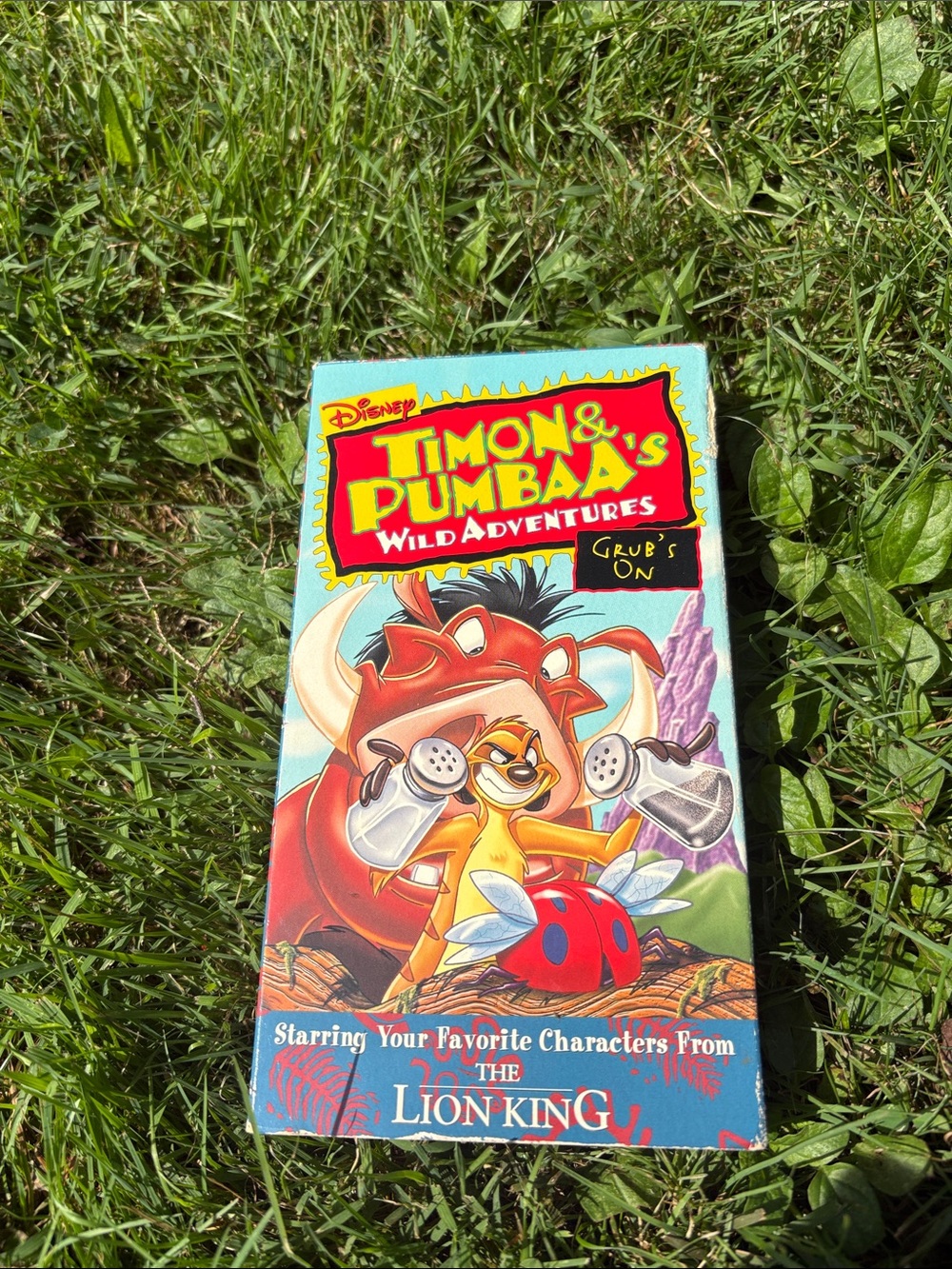Disney Timon & Pumbaa's Wild Adventures VHS - blue, red, yellow